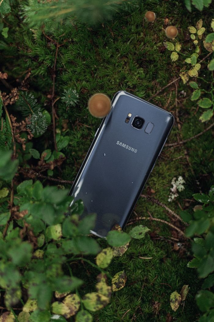 Close-up of a Samsung smartphone nestled in vibrant green leaves and moss.
